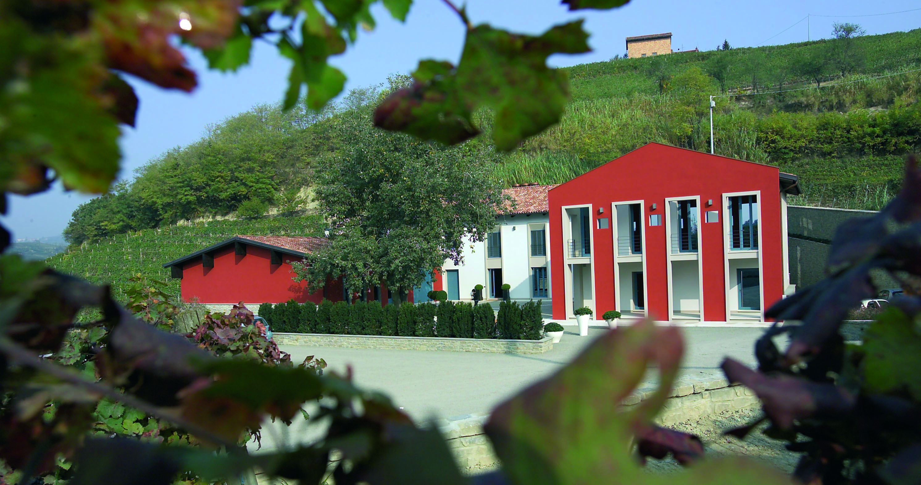 Lo Zoccolaio Winebow